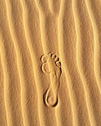 High angle view of footprints on sand