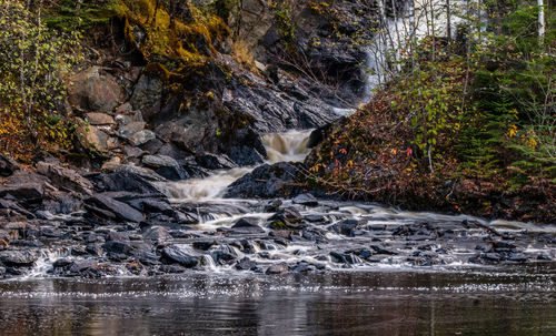 Waterfall in river amidst trees in forest