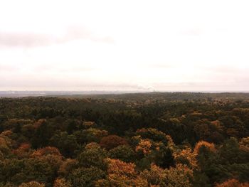 Scenic view of green landscape against sky