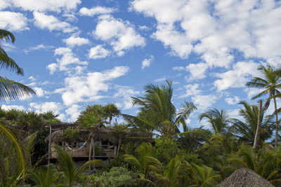 Plants and trees by building against sky