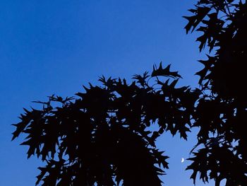 Low angle view of silhouette tree against sky at dusk