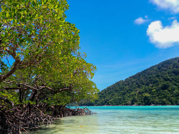 Scenic view of sea against sky