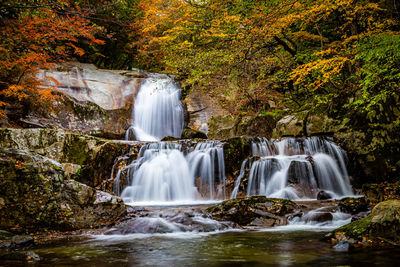 Waterfall in forest