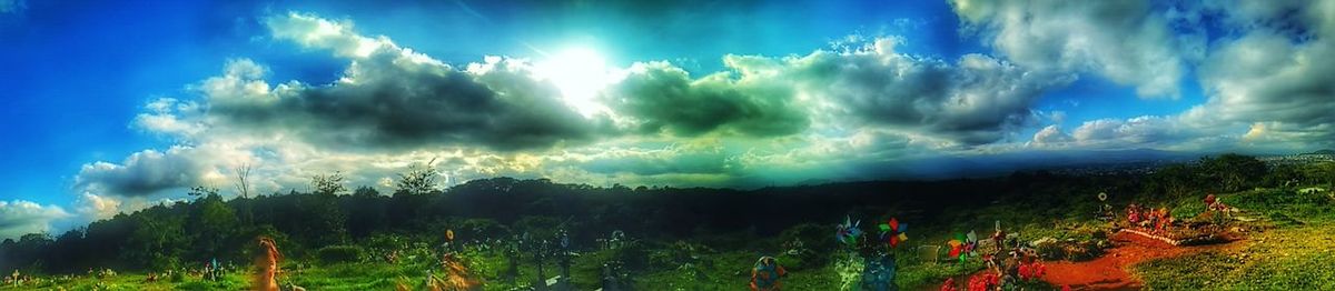Low angle view of panoramic shot of trees against storm clouds