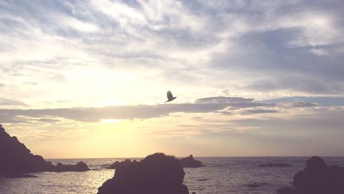 Silhouette bird flying over sea against sky during sunset