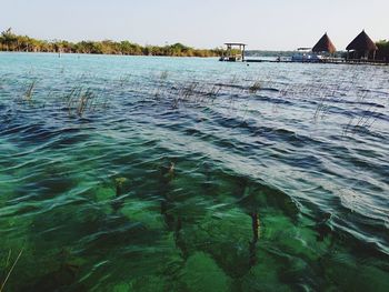 Reflection of trees in water