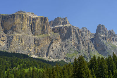 Panoramic view of pine trees and mountains against clear sky