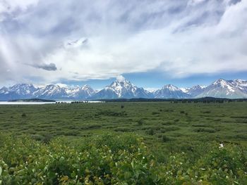 Scenic view of field and mountains against sky