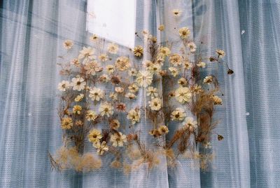 Close-up of flowers on window