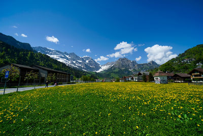 Scenic view of field by mountains against sky