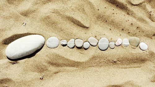 Close-up of shell on sand