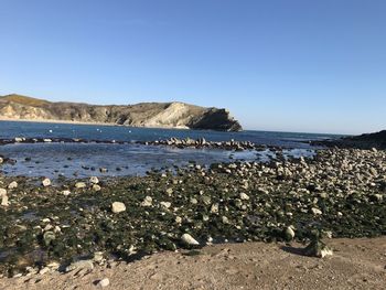 Scenic view of sea against clear sky