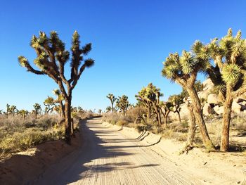 Dirt road against clear blue sky