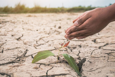 Close-up of hand holding sand on field
