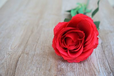 Close-up of red rose on table