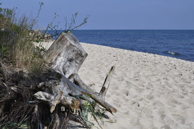 Driftwood on beach by sea against sky