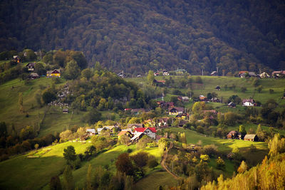 High angle view of houses and trees on field