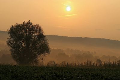 Scenic view of field against sky during sunset