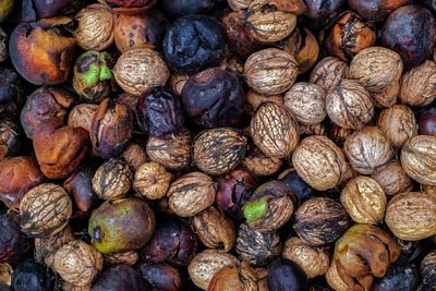 Freshly harvested nuts