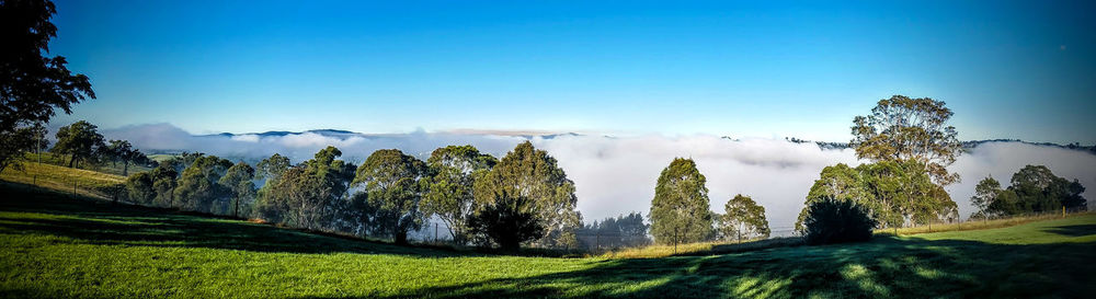 Scenic view of grassy field against blue sky