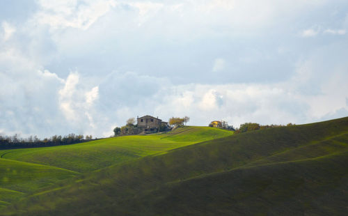 Scenic view of field against sky