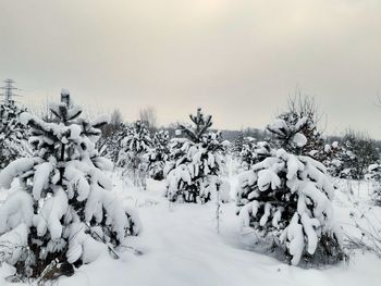 Trees on snow covered field against sky