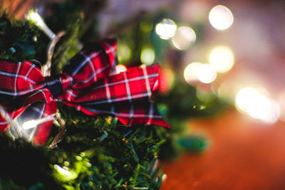 Close-up of christmas tree