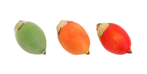 Close-up of apples against white background