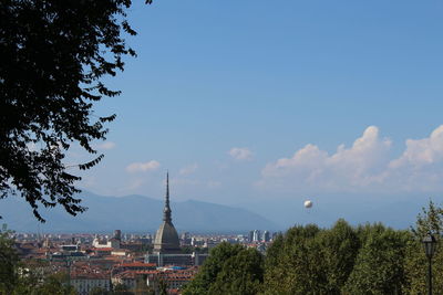 Trees and buildings against sky