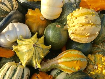 Full frame shot of pumpkins