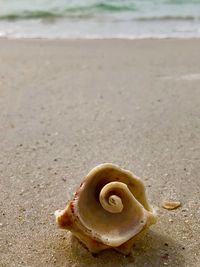 Close-up of sand on beach