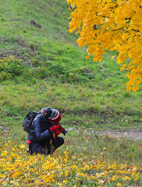 Yellow flowers growing on field