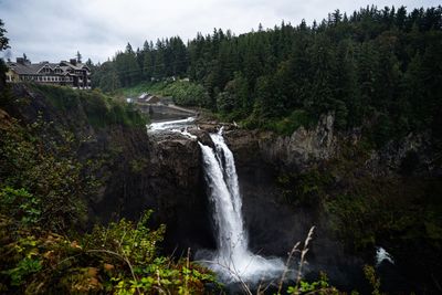 Scenic view of waterfall in forest