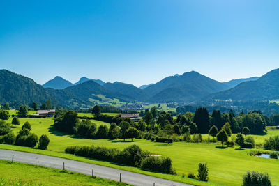 Scenic view of field against clear blue sky