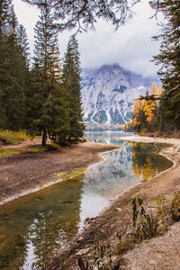 Scenic view of lake in forest against sky