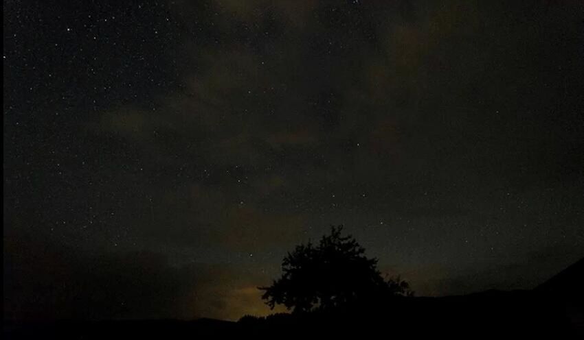 tranquil scene, scenics, beauty in nature, night, silhouette, tranquility, sky, nature, low angle view, tree, star - space, dark, astronomy, idyllic, majestic, star field, star, weather, dusk, landscape