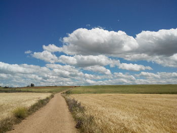 Road passing through field