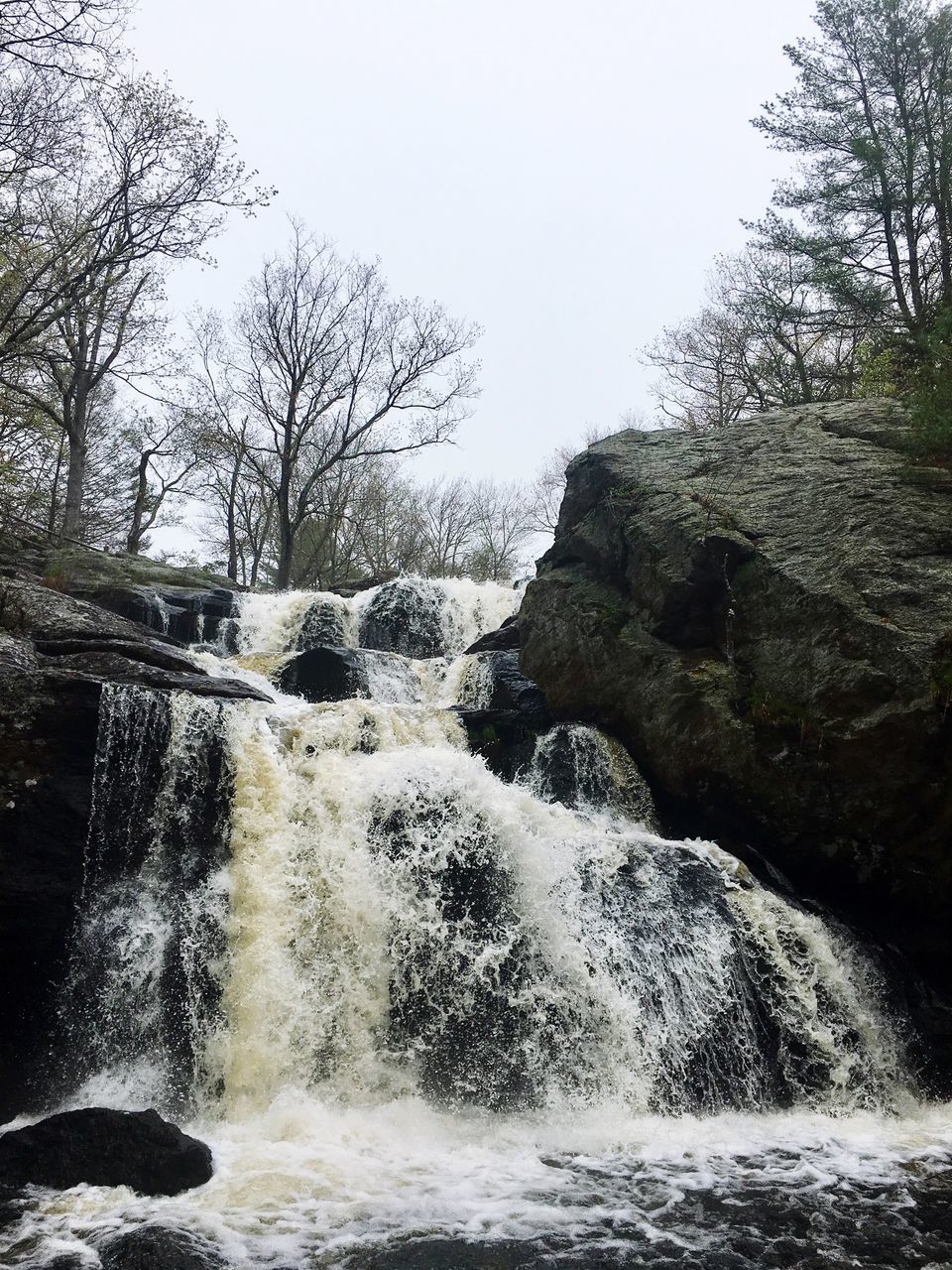 waterfall, motion, water, tree, beauty in nature, flowing water, nature, scenics, non-urban scene, river, no people, long exposure, tranquil scene, outdoors, day, tranquility, forest, clear sky, power in nature, sky, bare tree, freshness