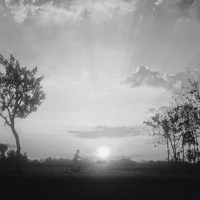 tree, sky, silhouette, tranquil scene, tranquility, scenics, beauty in nature, nature, cloud - sky, landscape, growth, idyllic, field, cloud, non-urban scene, outdoors, sunlight, sunset, no people, branch