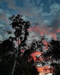 Low angle view of silhouette tree against sky at sunset