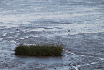 View of people in water