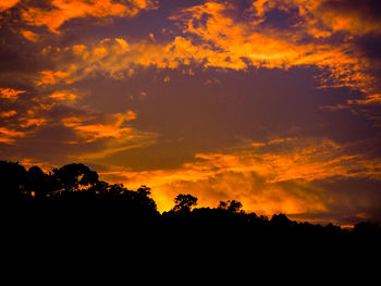 Low angle view of silhouette trees against dramatic sky