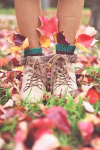 Low section of person with pink leaves