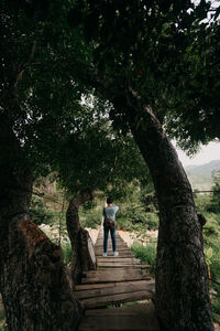 Rear view of man walking on footpath amidst trees