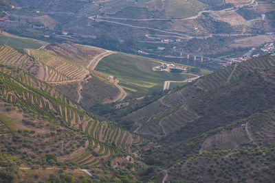 High angle view of agricultural field