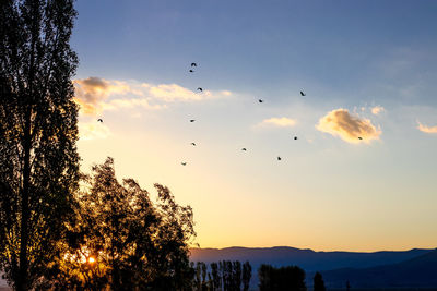 sky