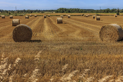 Hay bales on field against sky