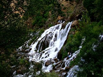 Stream flowing through rocks in forest