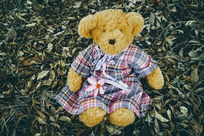 High angle view of stuffed toy on field