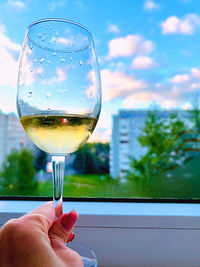 Cropped hand of person holding wineglass